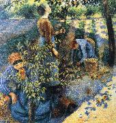 Camille Pissarro Apple picking Germany oil painting artist